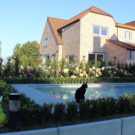 Bed and Breakfast Cafcauter Sint-Pieters-Kapelle  Exterior foto