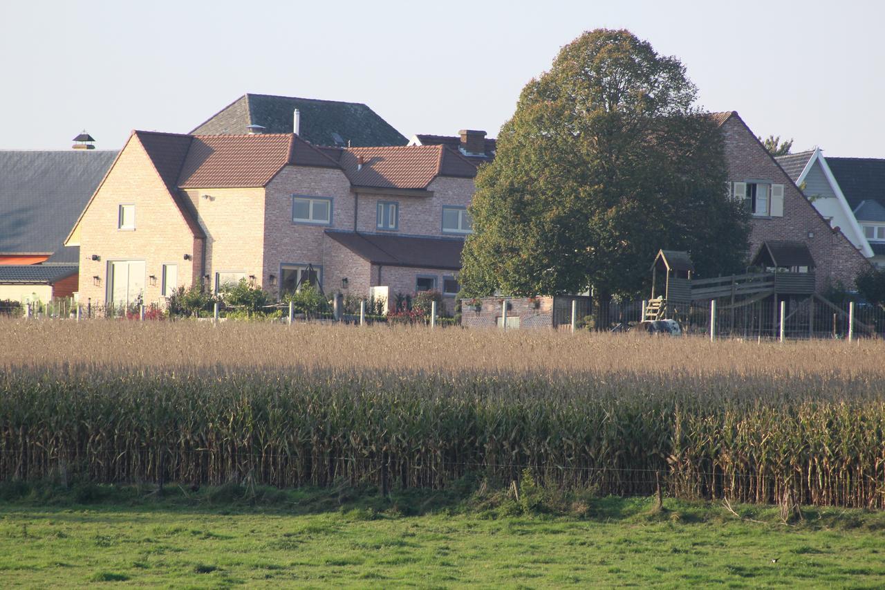 Bed and Breakfast Cafcauter Sint-Pieters-Kapelle  Exterior foto